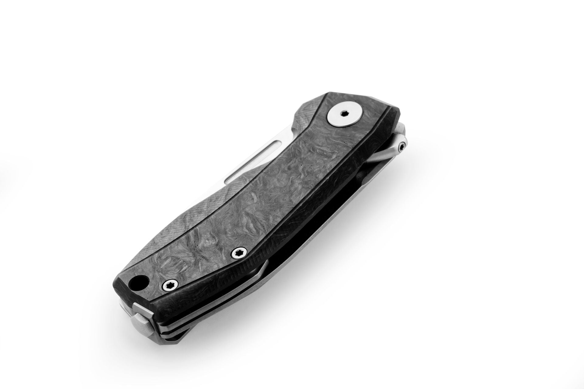 LionSteel Nano - Carbon fiber black 2