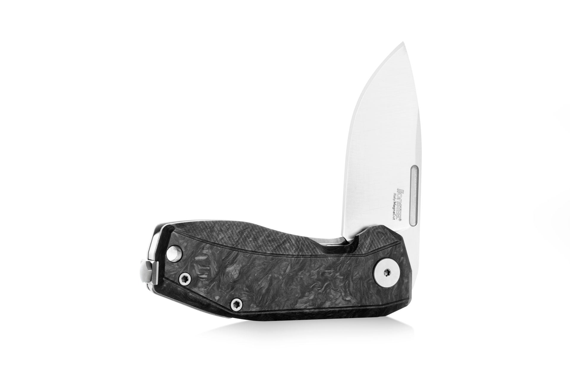 LionSteel Nano - Carbon fiber black 4